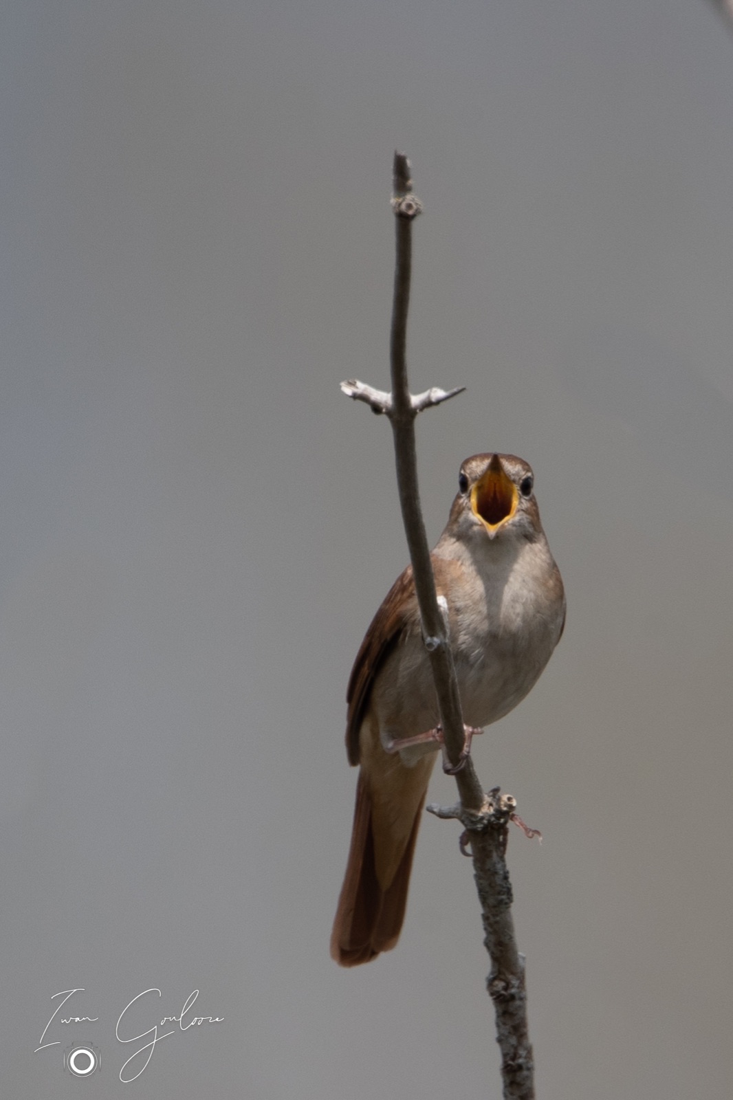 07 mei 2022 150826 1DX42233